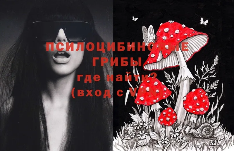 MEGA маркетплейс  Омск  Псилоцибиновые грибы MAGIC MUSHROOMS 