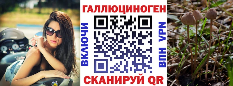 Псилоцибиновые грибы Psilocybe  даркнет сайт  Омск 