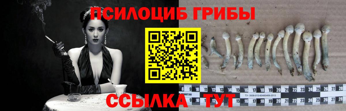 Галлюциногенные грибы MAGIC MUSHROOMS  Вход с VPN  Галлюциногенные грибы Psilocybe  купить наркотики цена  Омск 